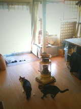 IMG_2334