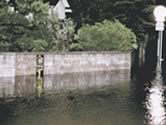 onga_p10