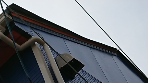 DSC_1345