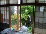 DSCF1262