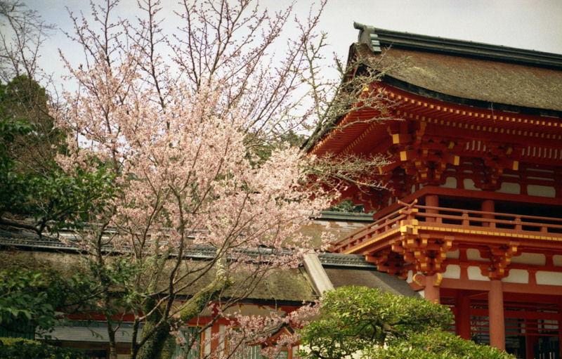 上賀茂神社