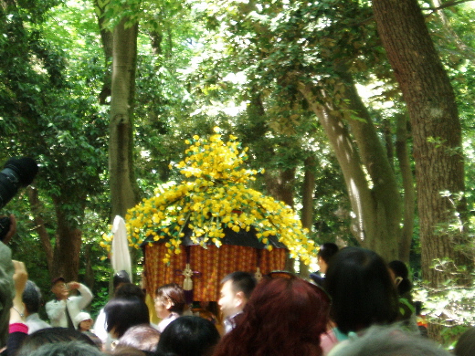 花傘