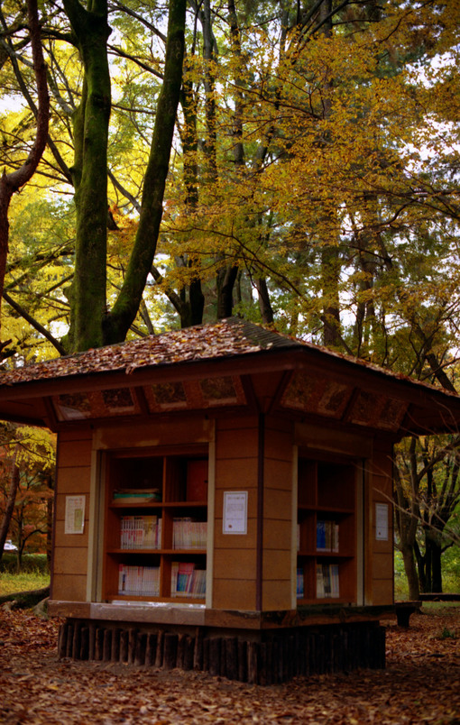 森の図書館