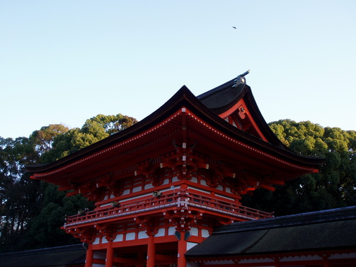 鳶