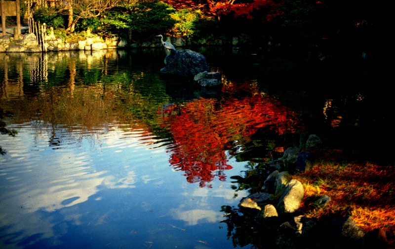 円山公園