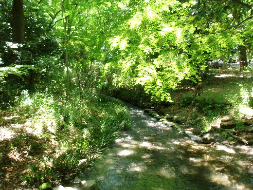 境内の小川