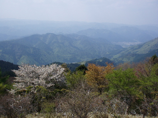 山頂の眺め