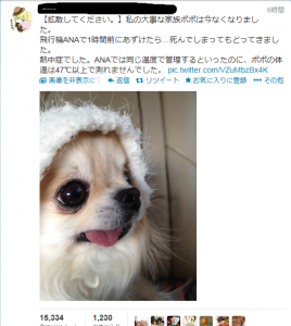0d40a5e4a645fc6b96e767d64ac0878e-268x300