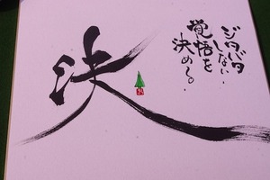 IMGP2297-thumbnail2