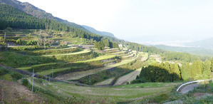 mizo03