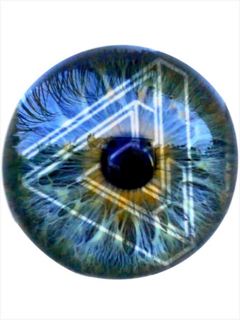 eye