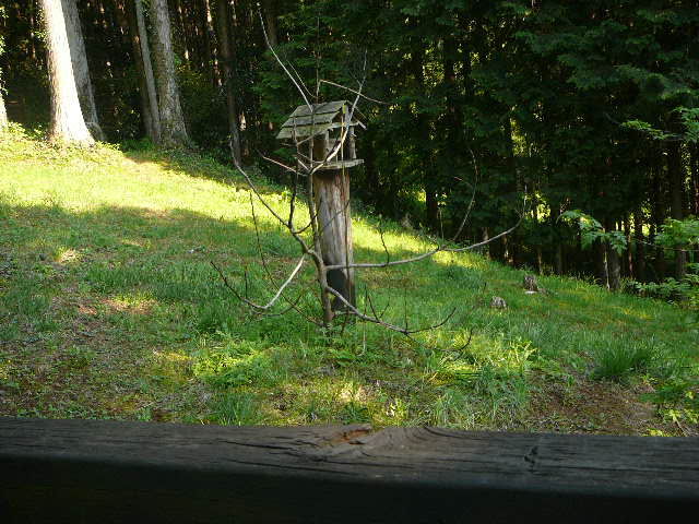 P1080824