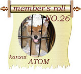 �Ƥ����β�