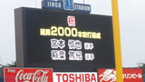 d3853660.jpg