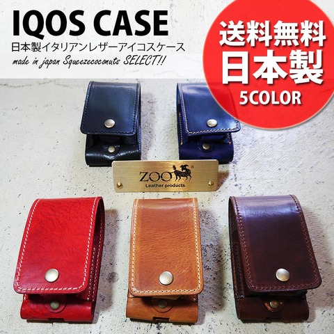 zic-011