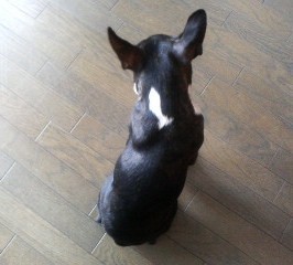 P1020073[1]