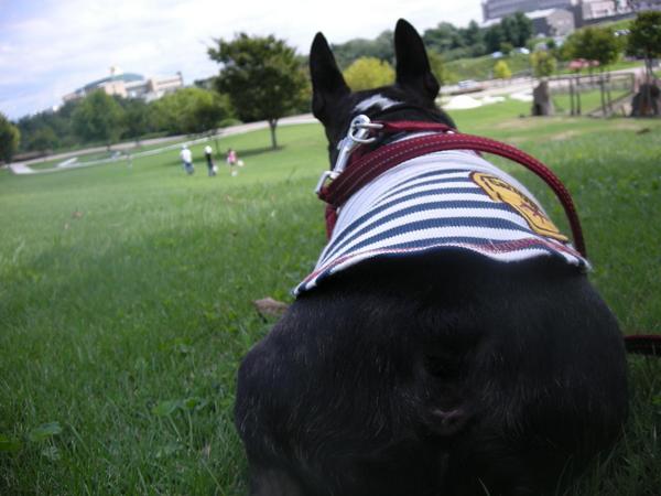 DSCN6179