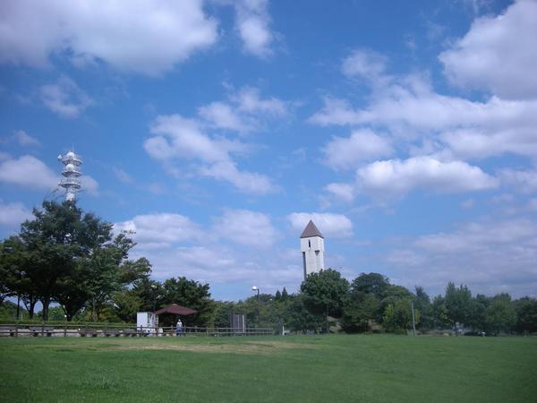 DSCN6196