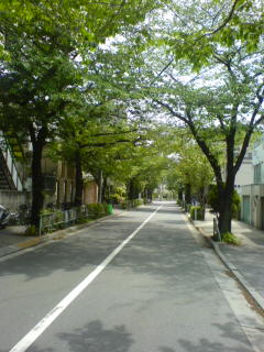 緑の道