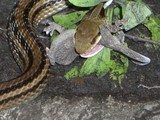 52445f8d.JPG