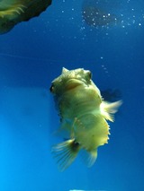 葛西臨海公園6