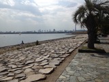 葛西臨海公園2