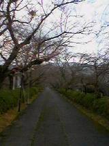 41f5781f.jpg