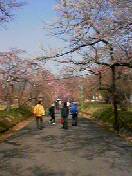 aa884d6f.jpg