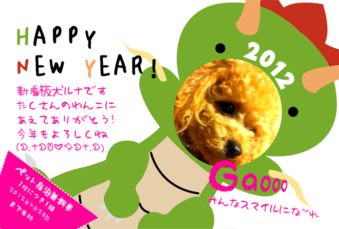 �����ޤ��Ƥ���ǤȤ��������ޤ�-��ǯ�̡��ڥåȽ���̵������