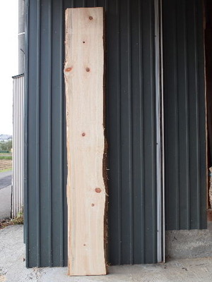 PA190586-bx9a