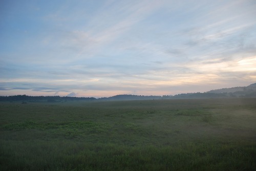 DSC_0404