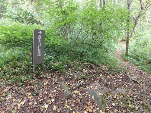 P9272465