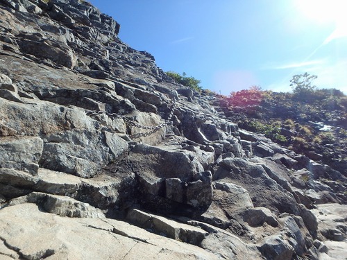 P9132294