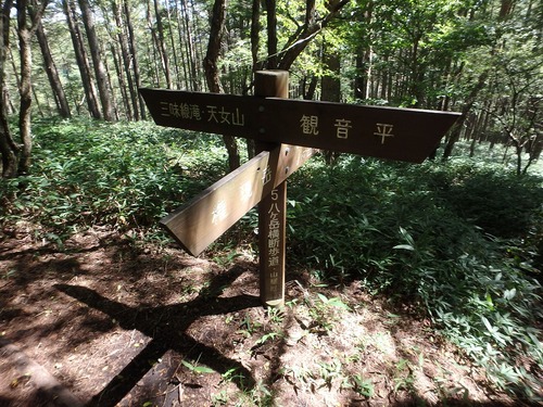 P9132353