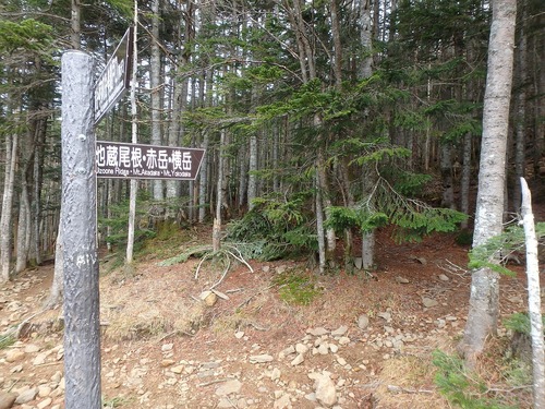 PA133972