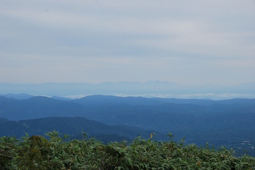 DSC_0042