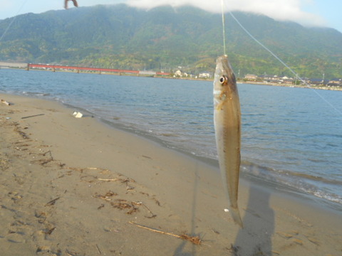 DSCN0686