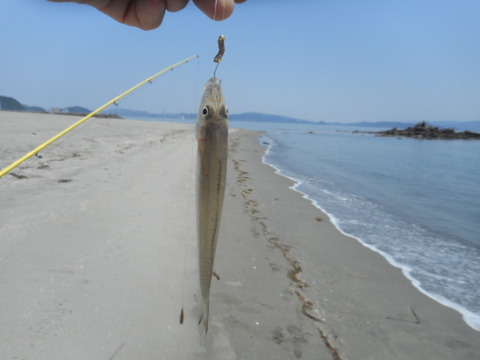 DSCN0708