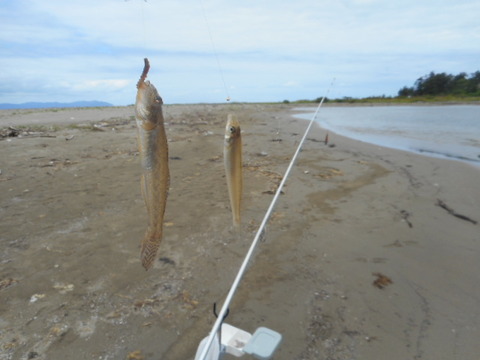 DSCN0762