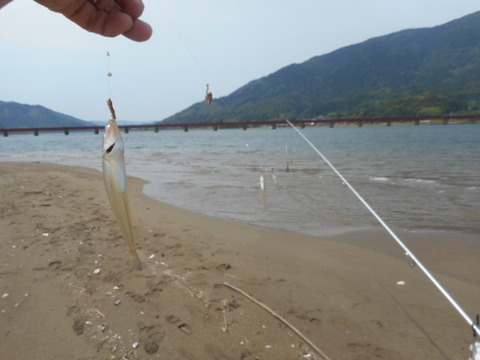 DSCN0730