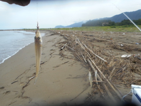 DSCN0830