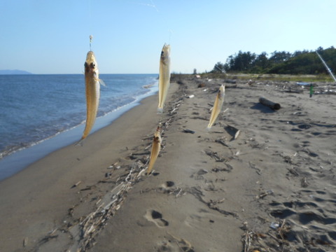 DSCN0960