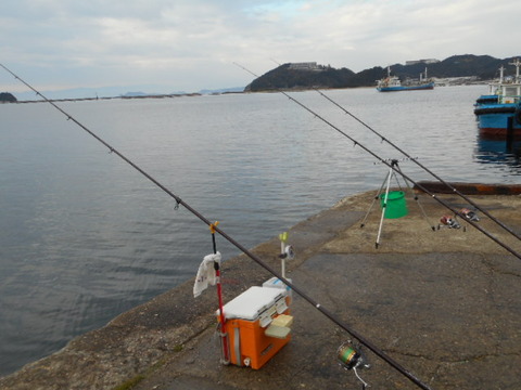 DSCN0660