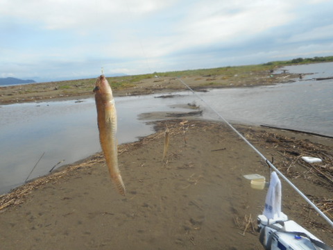 DSCN0822