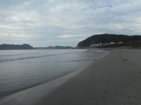 DSCN1134