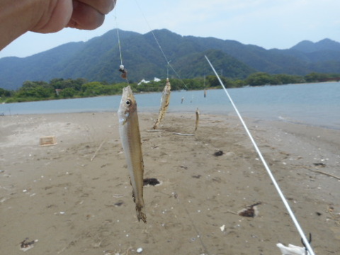 DSCN0738