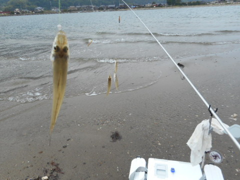 DSCN0737