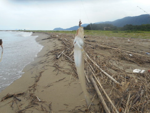 DSCN0834