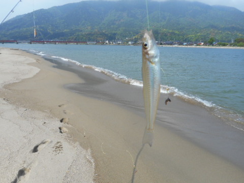 DSCN0690