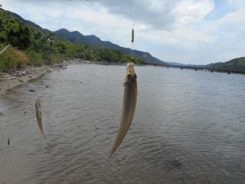 DSCN0765